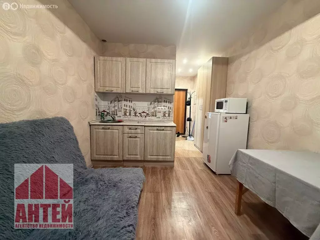 Квартира-студия: деревня Афонино, улица Красная Поляна, 2 (19.1 м) - Фото 1