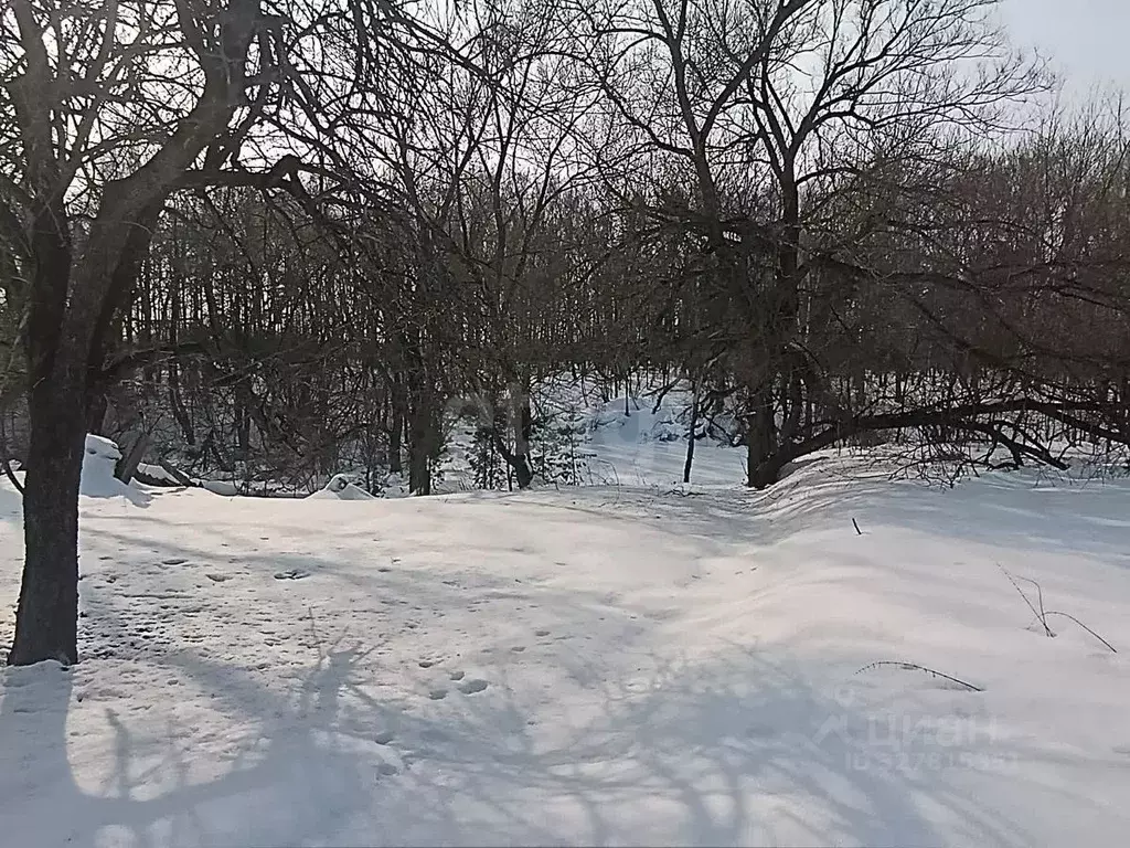 Участок в Московская область, Коломна городской округ, пос. Проводник  ... - Фото 1