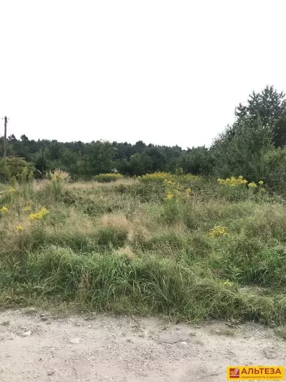 Участок в Светлогорск, СНТ Радуга, 17-я линия (6.1 м) - Фото 1