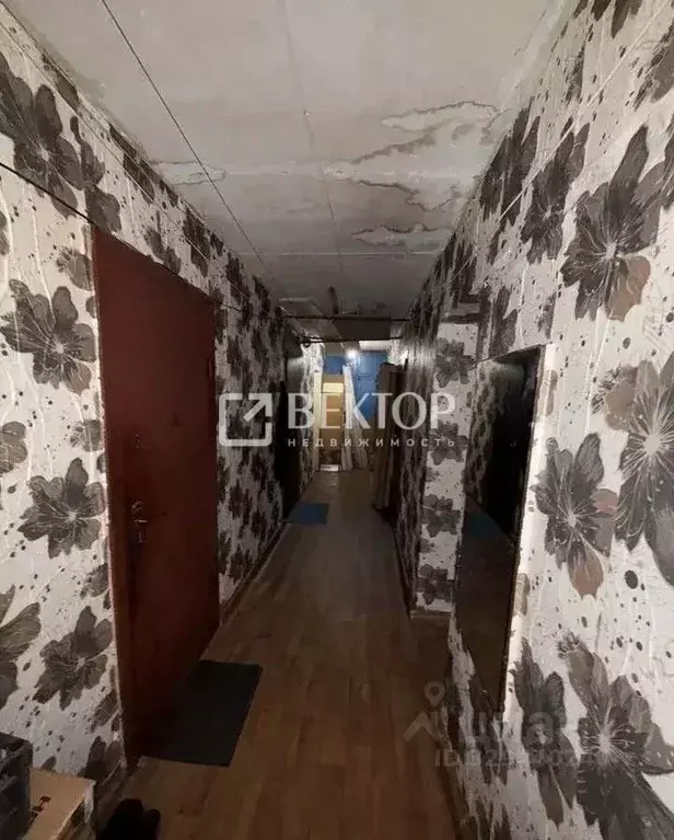 Комната Костромская область, Кострома ул. Голубкова, 4 (11.7 м) - Фото 1