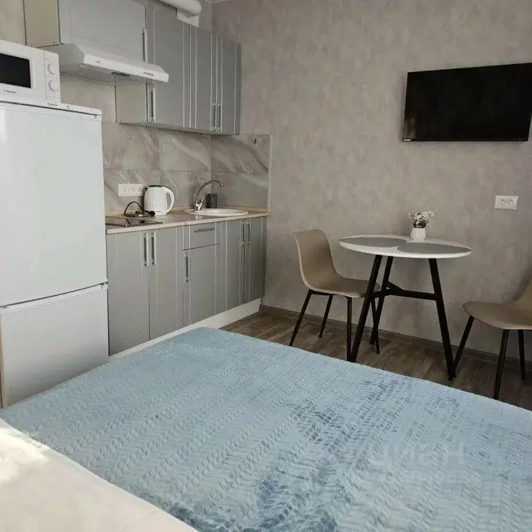 1-к кв. Алтайский край, Новоалтайск Октябрьская ул., 18В (22.0 м) - Фото 1