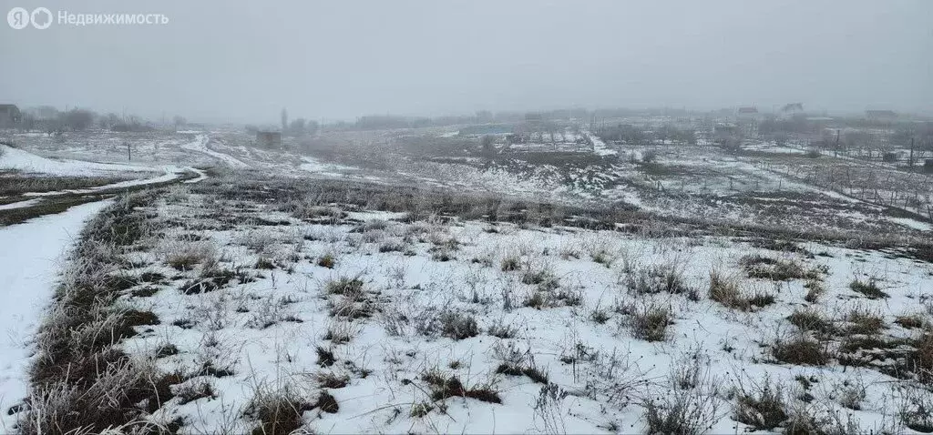 Участок в Симферопольский район, садовые участки 3-й массив, ДП ... - Фото 2