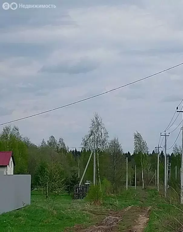 Участок в Ярославская область, Тутаевский муниципальный округ, ... - Фото 1