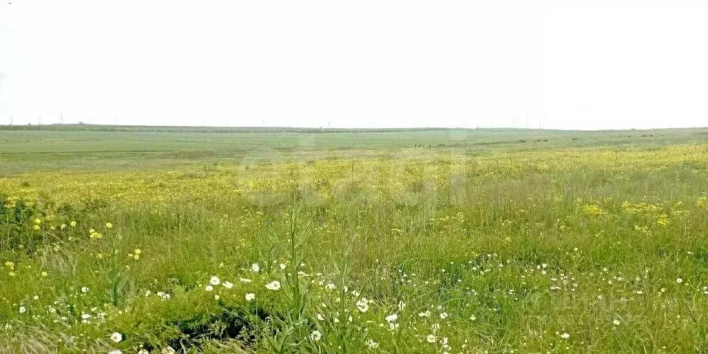 Участок в Крым, Феодосия муниципальный округ, Приморский пгт ул. ... - Фото 1