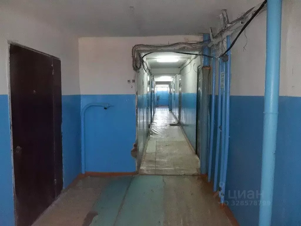 1-к кв. Тюменская область, Тюмень Олимпийская ул., 8 (33.5 м) - Фото 2