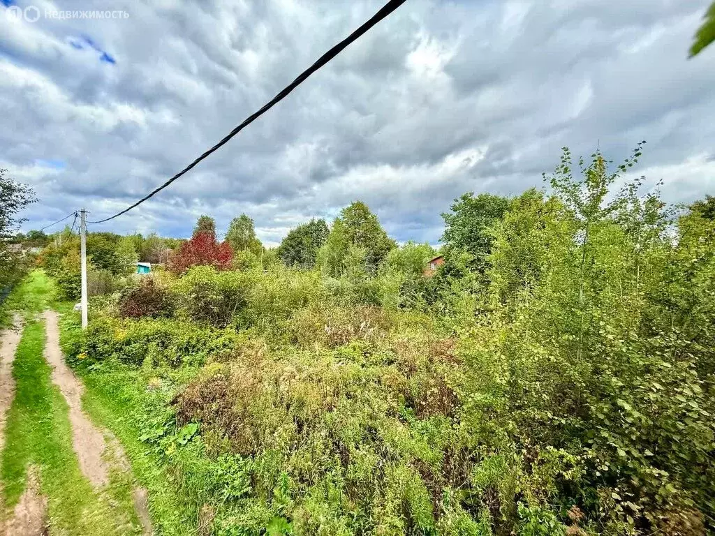 Участок в Тобольск, садоводческое товарищество Родничок, Восточная ... - Фото 1
