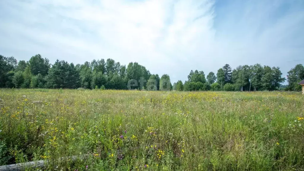 Участок в Томская область, Томский район, с. Кафтанчиково ул. ... - Фото 0