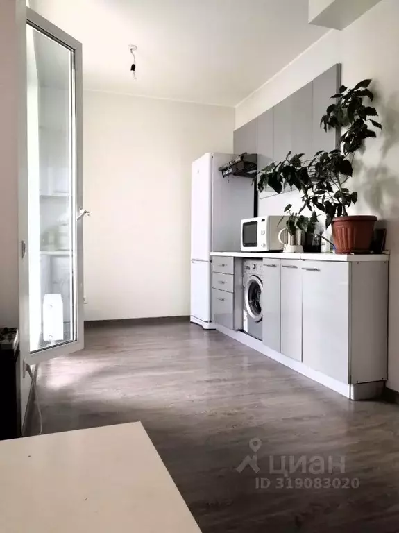 Студия Санкт-Петербург ш. Суздальское, 24к3 (26.2 м) - Фото 1