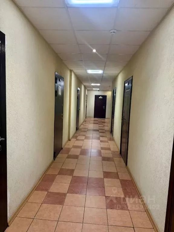 Офис в Санкт-Петербург просп. Девятого Января, 19 (15 м) - Фото 2