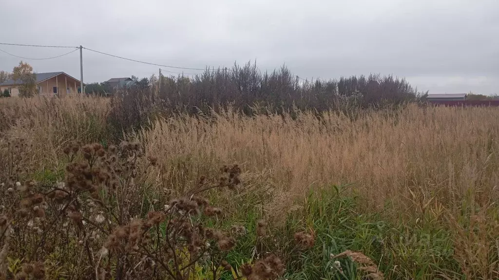 Участок в Московская область, Талдомский городской округ, д. Костино  ... - Фото 2