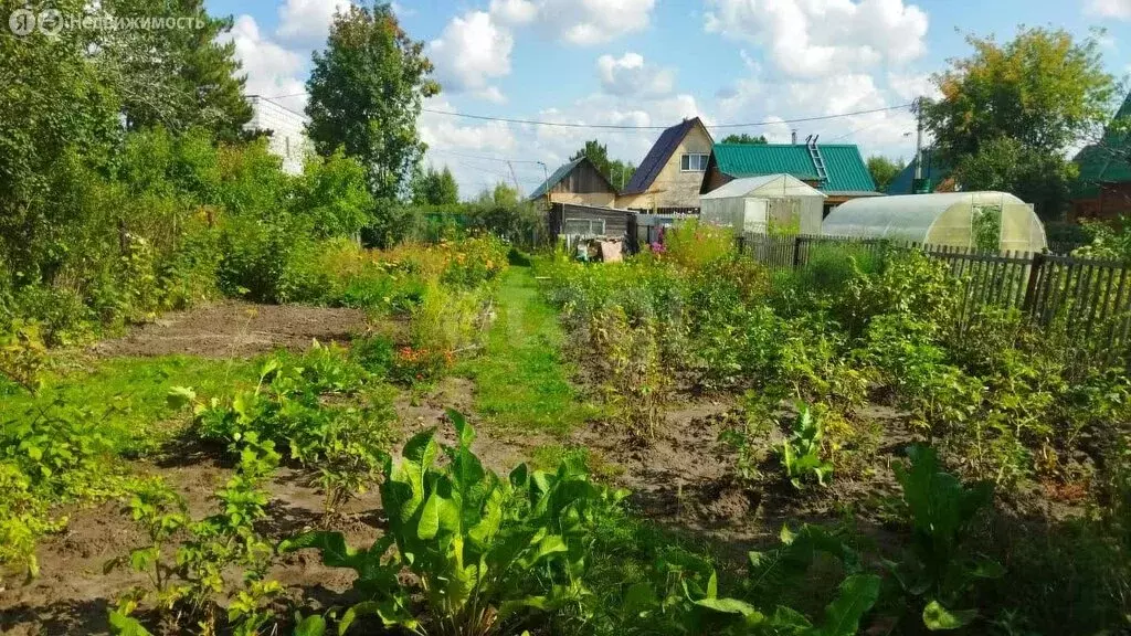 Участок в Новосибирск, СПК Сибирский Авиатор (3.99 м) - Фото 0