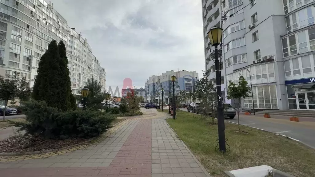 2-к кв. Белгородская область, Белгород Гостенская ул., 12 (81.3 м) - Фото 1