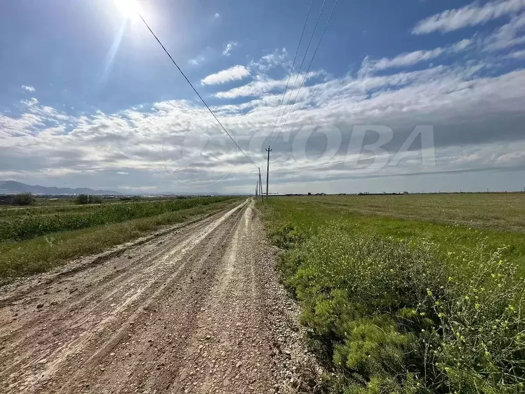 Участок в Дагестан, Махачкала городской округ, Ленинкент пгт  (4.4 ... - Фото 1