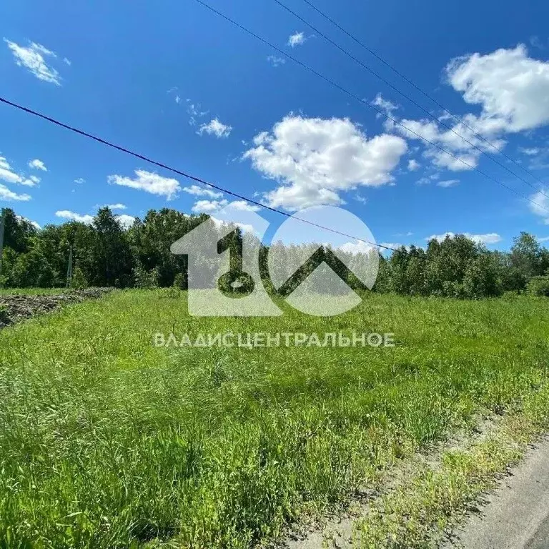 Участок в Новосибирская область, Новосибирский район, Толмачевский ... - Фото 1