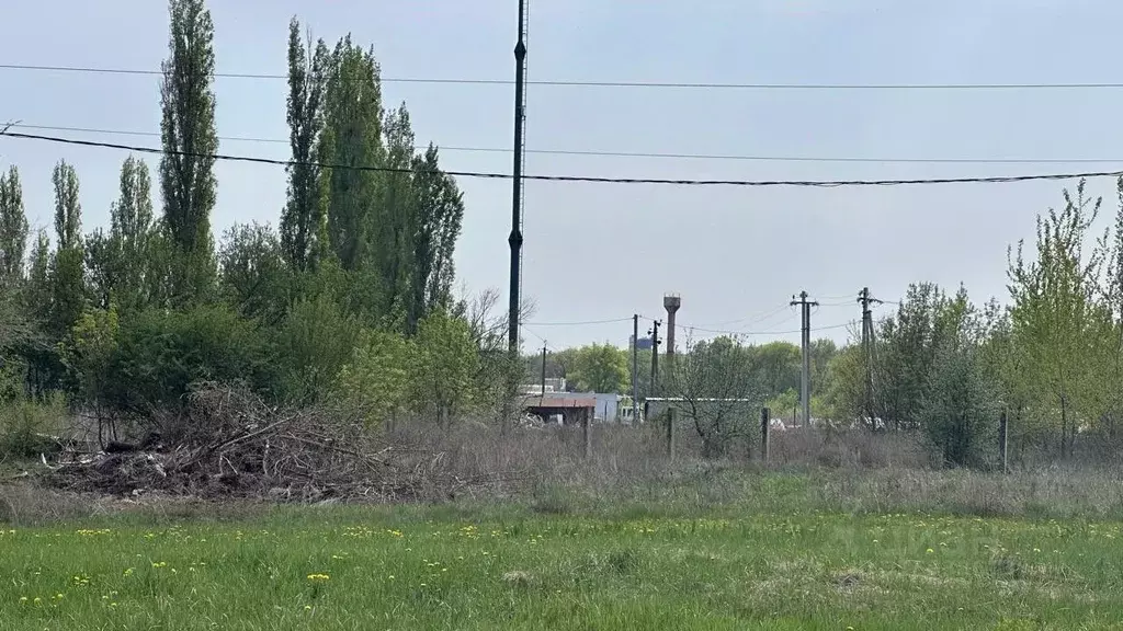 Участок в Воронежская область, Новоусманский район, Усманское 1-е ... - Фото 2