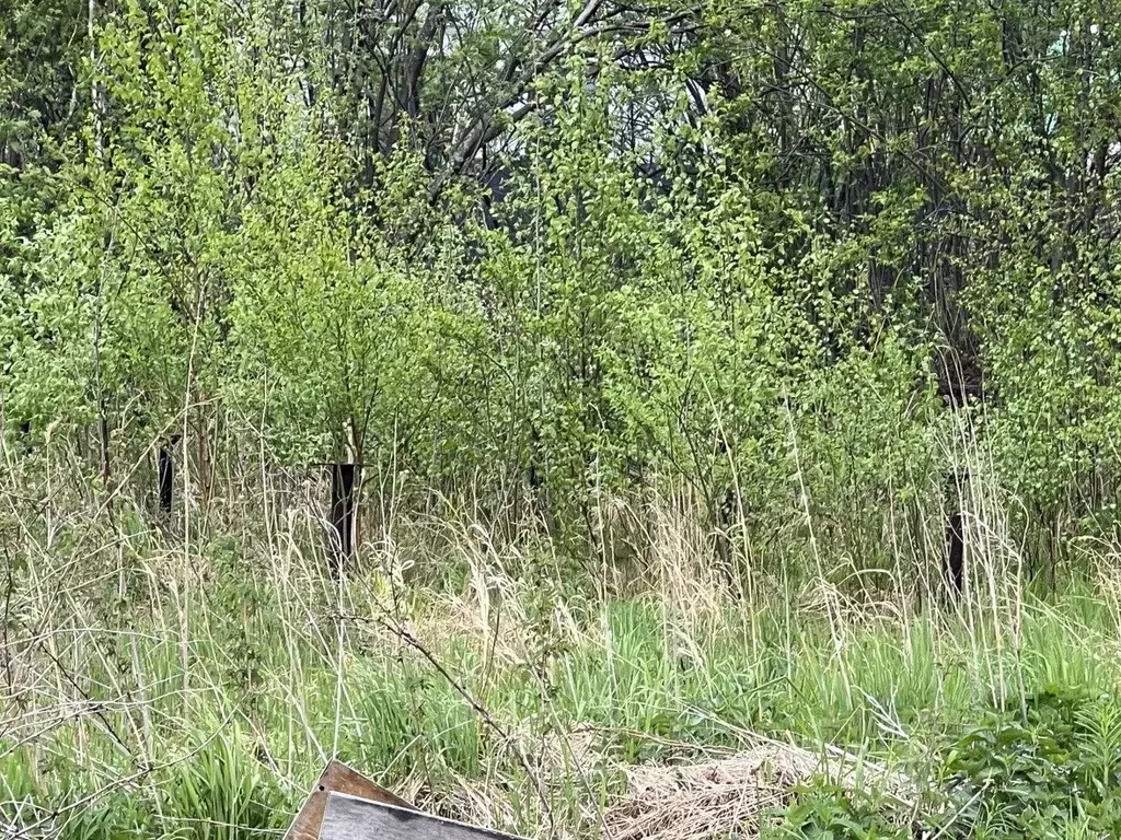 Дом в Свердловская область, Екатеринбург тракт Чусовской (10 м) - Фото 1