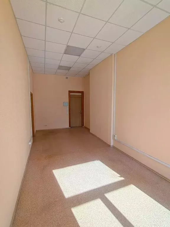 Офис в Новосибирская область, Новосибирск ул. 1-я Ельцовка, 1кВ (23 м) - Фото 2