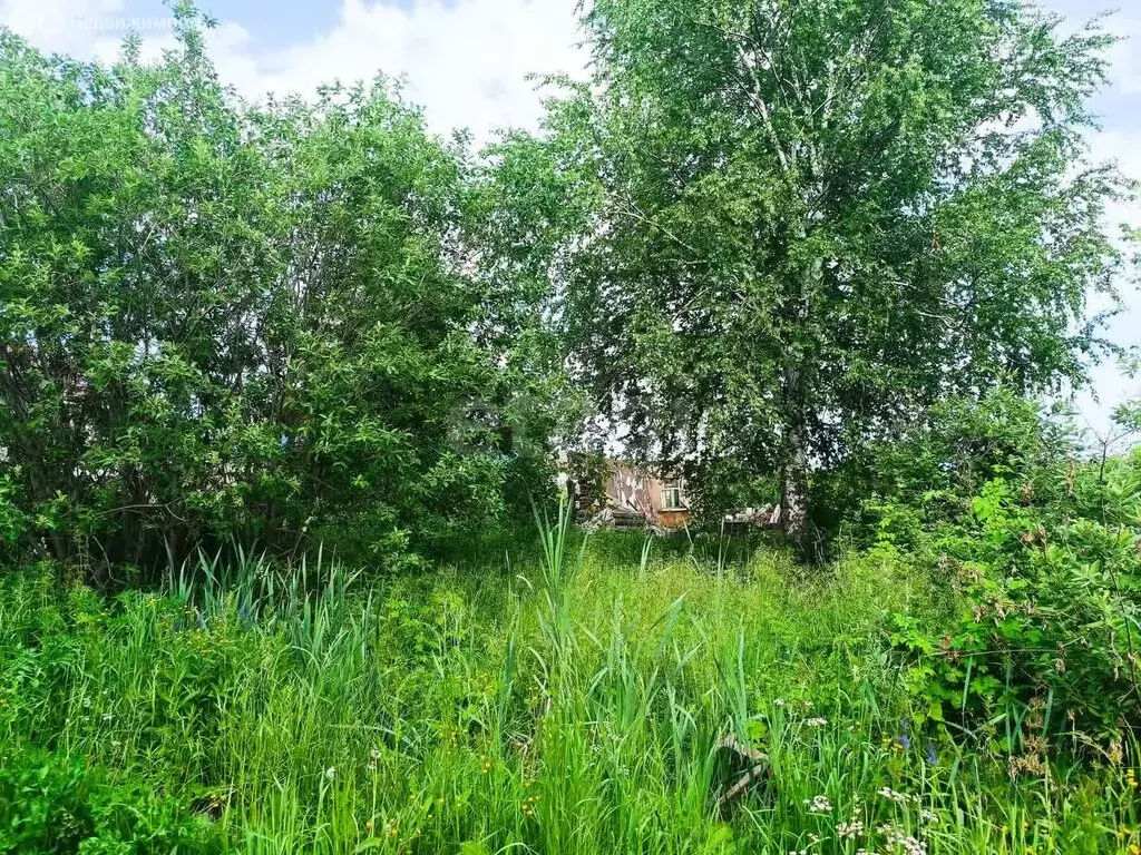 Участок в Тайга, Красноармейская улица (8.5 м) - Фото 0