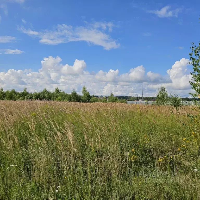 Участок в Московская область, Луховицы муниципальный округ, пос. ... - Фото 1