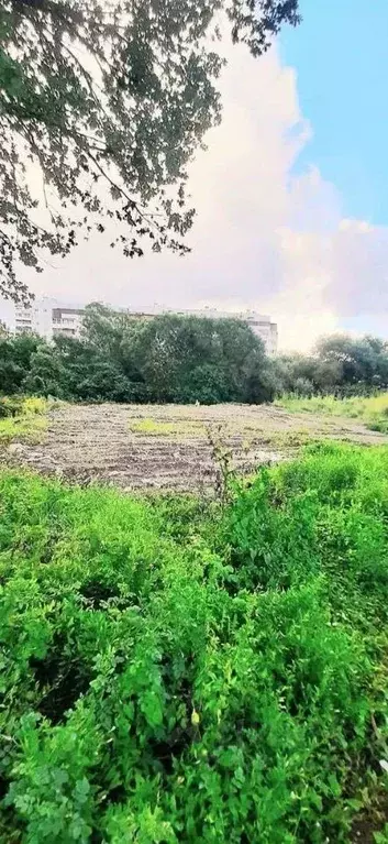 Участок в Новгородская область, Новгородский район, Ермолинское с/пос, ... - Фото 1