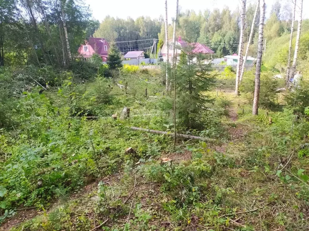 Участок в Московская область, Дмитровский городской округ, Квазаровка ... - Фото 0