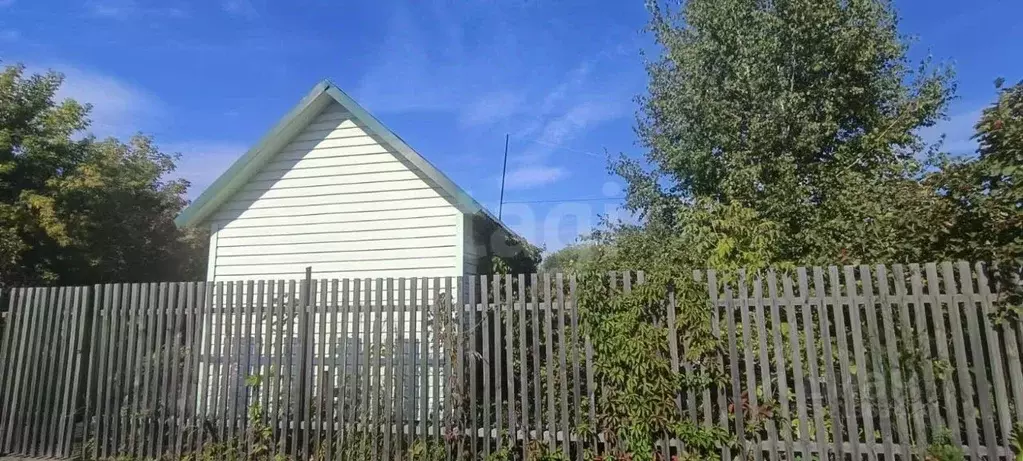 Участок в Омская область, Омск Энергетик СНТ, 439 (5.5 сот.) - Фото 2