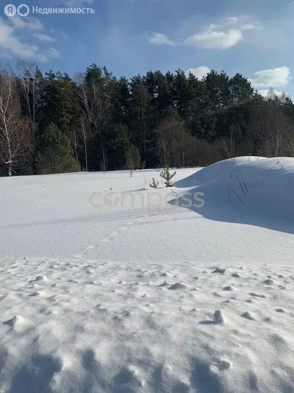 Участок в Нижнетавдинский район, деревня Красный Яр (12 м) - Фото 0