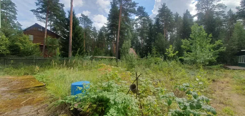 Участок в Ленинградская область, Гатчинский муниципальный округ, ... - Фото 1