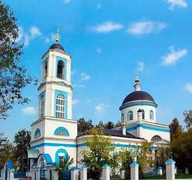 Участок в Московская область, Щелково городской округ, с. Душоново 60 ... - Фото 2