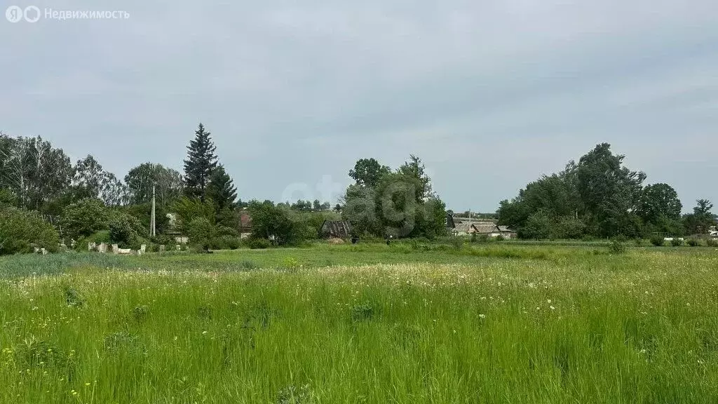 Дом в Орловский муниципальный округ, деревня Жуковка, Раздольная улица ... - Фото 0