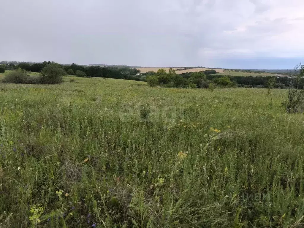 Участок в Белгородская область, Белгородский район, Бессоновское ... - Фото 0
