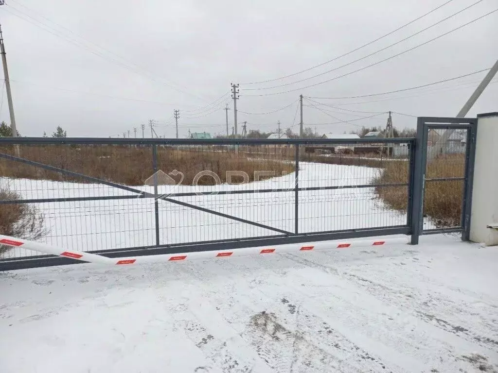 Участок в Тюменская область, Тюменский муниципальный округ, д. Зырянка ... - Фото 1