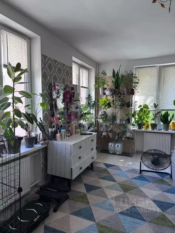 Комната Санкт-Петербург Новочеркасский просп., 11к1 (22.0 м) - Фото 1