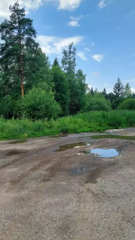 Участок в Московская область, Клин городской округ, Озеро Перелаз ... - Фото 2