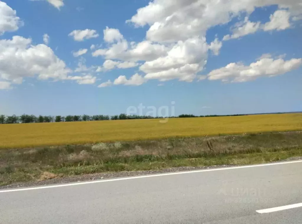 Участок в Крым, Черноморский район, с. Новоивановка ул. Ленина (746.0 ... - Фото 1