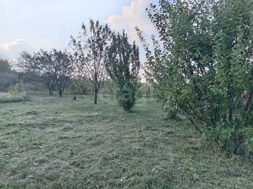 Дом в Ростовская область, Аксайский район, Мишкинское с/пос, Киров ... - Фото 1