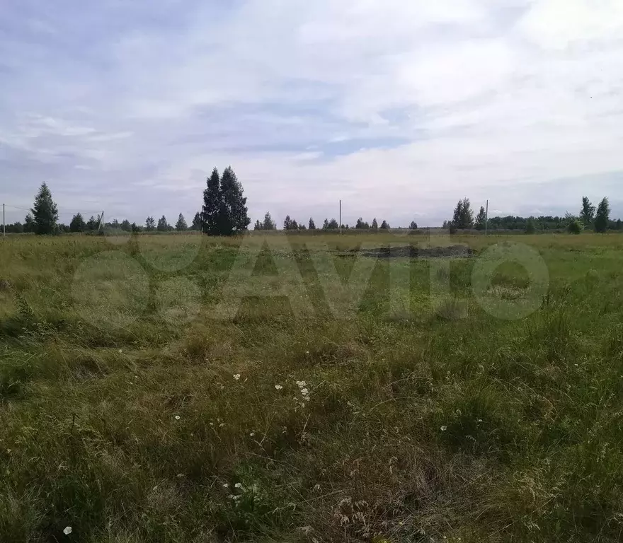 Участок 10 сот. (ИЖС) - Фото 0