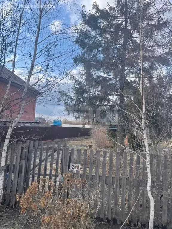 Участок в Омск, садоводческое некоммерческое товарищество Сибиряк, 1-я ... - Фото 2