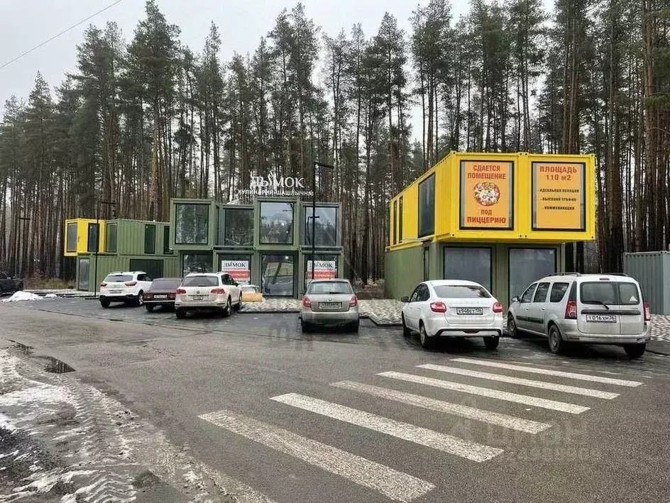Помещение свободного назначения в Воронежская область, Рамонский ... - Фото 1
