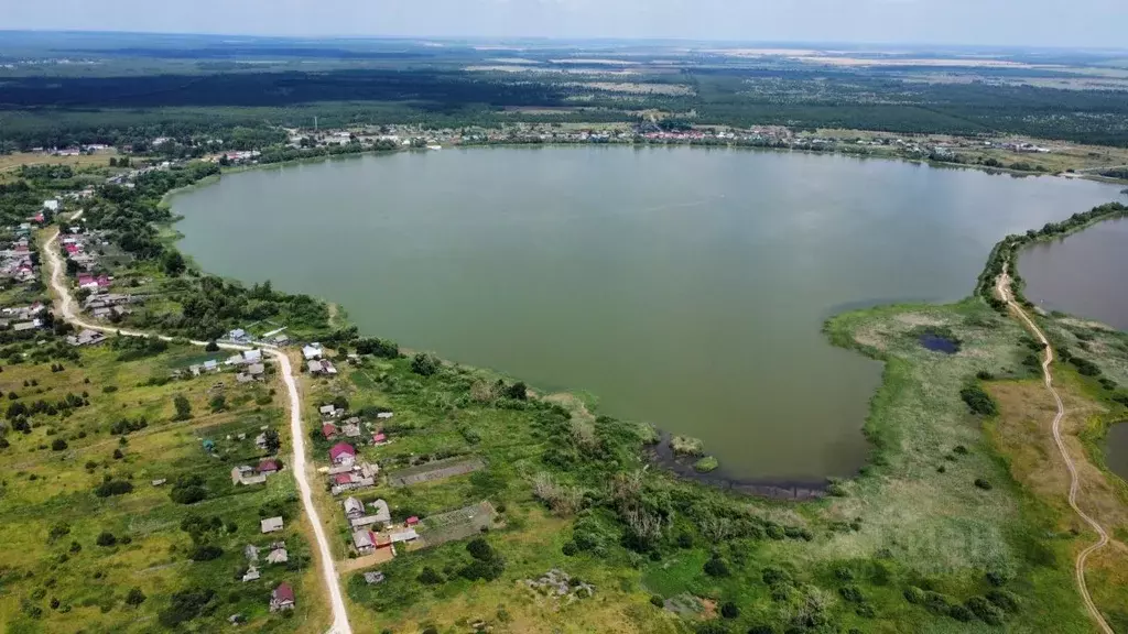 Участок в Ульяновская область, Майнский район, Игнатовское городское ... - Фото 1