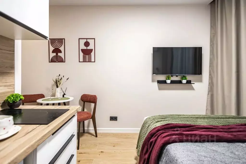 Студия Москва Березовая аллея, 19к1 (20.0 м) - Фото 1