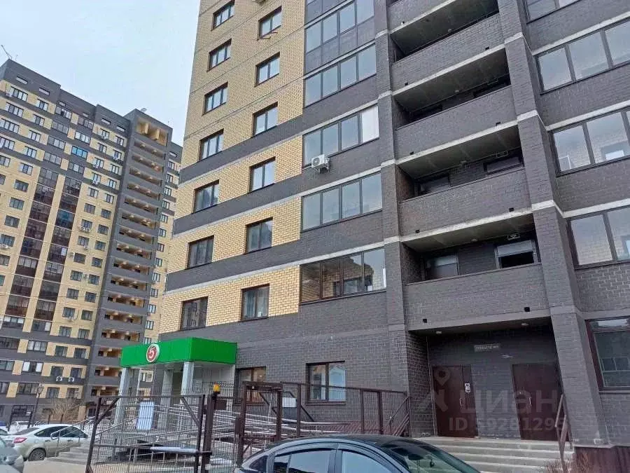 Воронежская обл. Фестиваль воронеж кривошеина 13. Кривошеина, 13. Воронеж кривошеина 70 в. Кривошеина 13 воронеж.