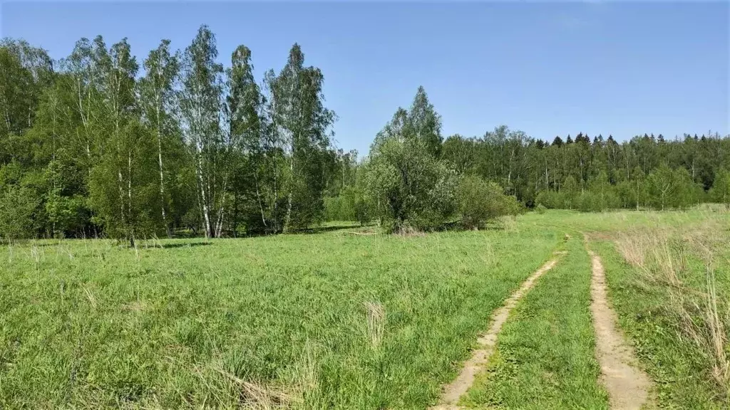 Участок в Московская область, Солнечногорск городской округ, д. Новое  ... - Фото 0