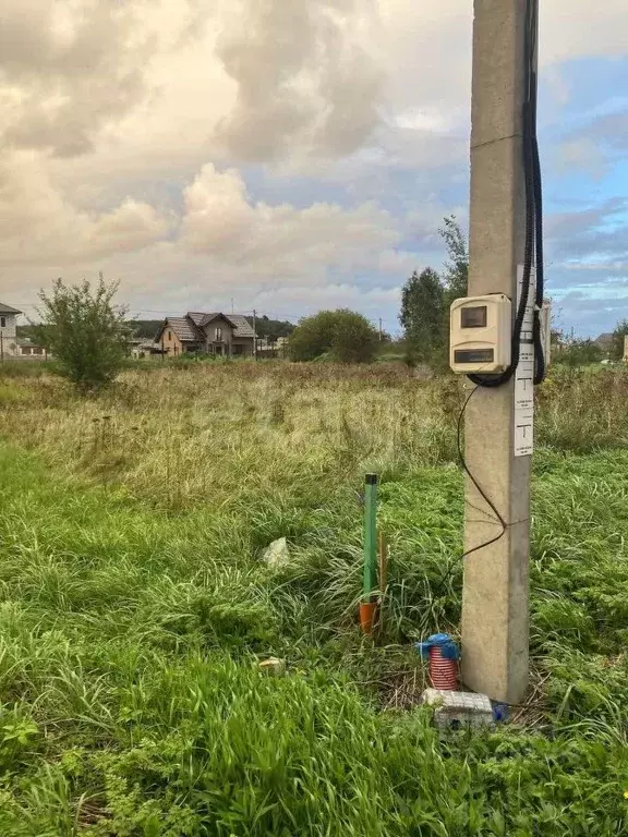 Участок в Калининградская область, Зеленоградский муниципальный округ, ... - Фото 2