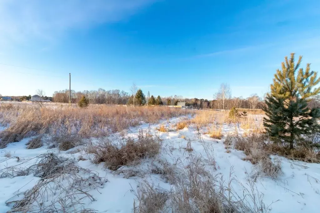 Участок в Тюменская область, Нижнетавдинский муниципальный округ, с. ... - Фото 2