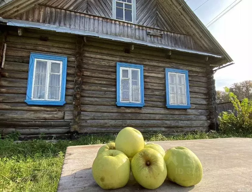 Дом в Псковская область, Стругокрасненский район, д. Сиковицы  (63 м) - Фото 1