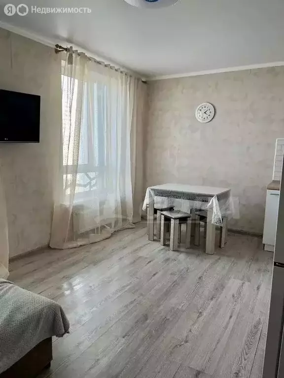 Квартира-студия: микрорайон Мелиораторов, улица Голышева, 24А (24.9 м) - Фото 1