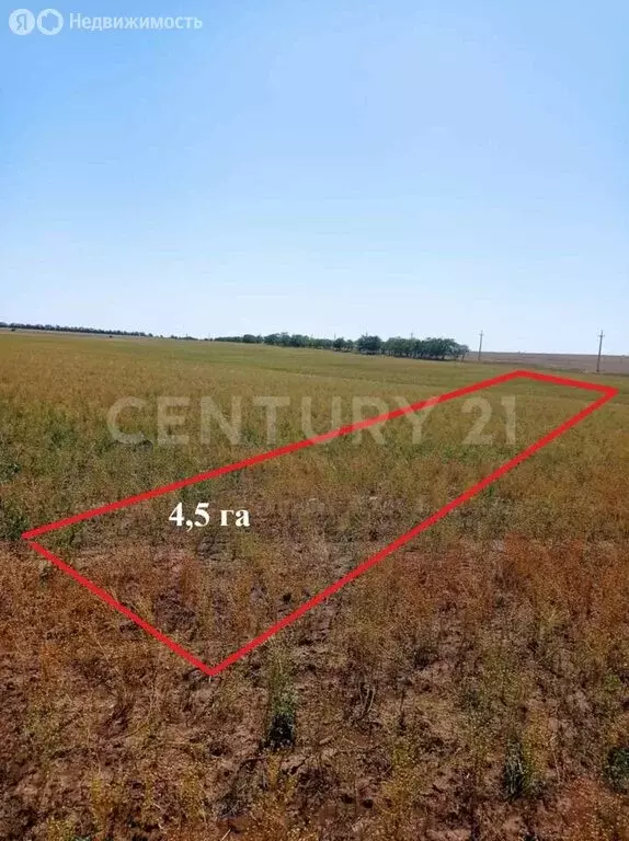 Участок в Сакский район, село Добрушино (446.9 м) - Фото 1