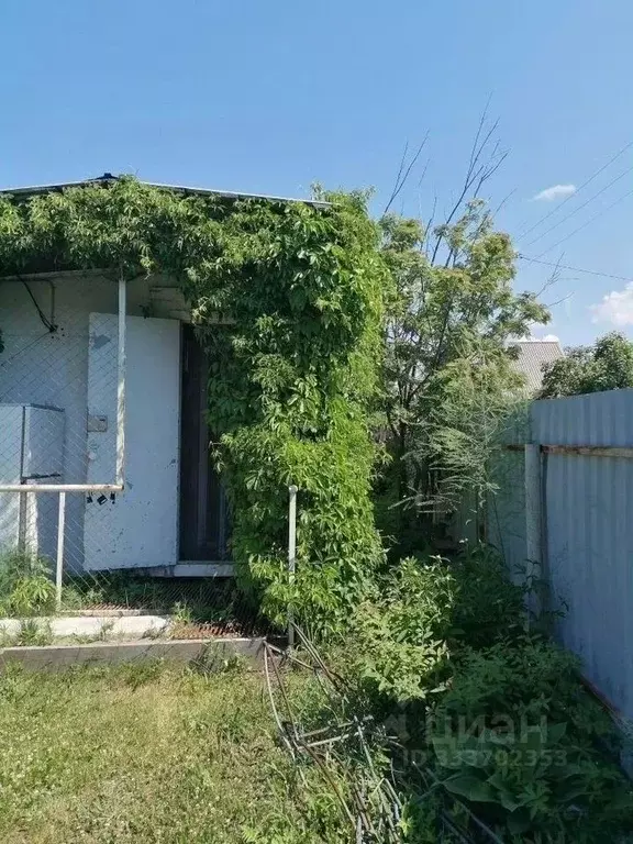 Дом в Новосибирская область, Бердск Вега-3 СНТ,  (15 м) - Фото 2