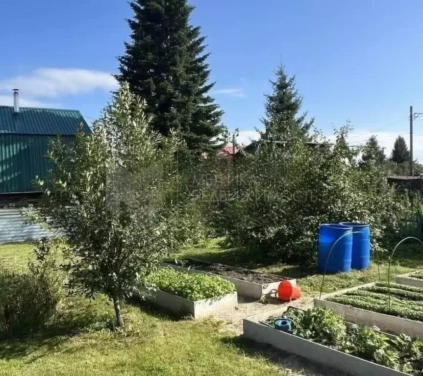 Дом в Тюменская область, Тюмень Плодовое СНТ, ул. Калиновая, 5 (15 м) - Фото 1